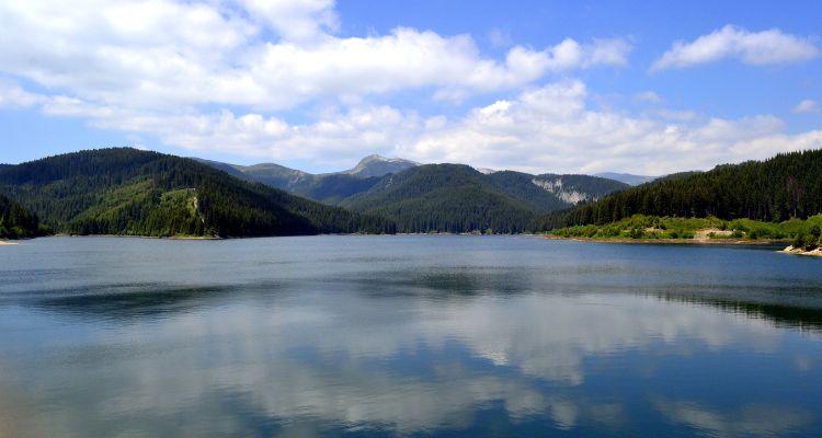 Ce activitati de aventura poti face in Bran-Moeciu?