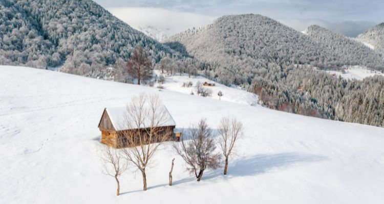 Traditii si obiceiuri de iarna in zona Bran-Moeciu